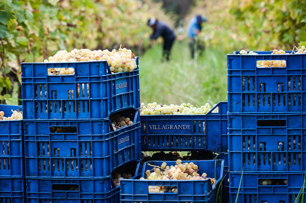 Wine Resort Villagrande มีโล ภายนอก รูปภาพ