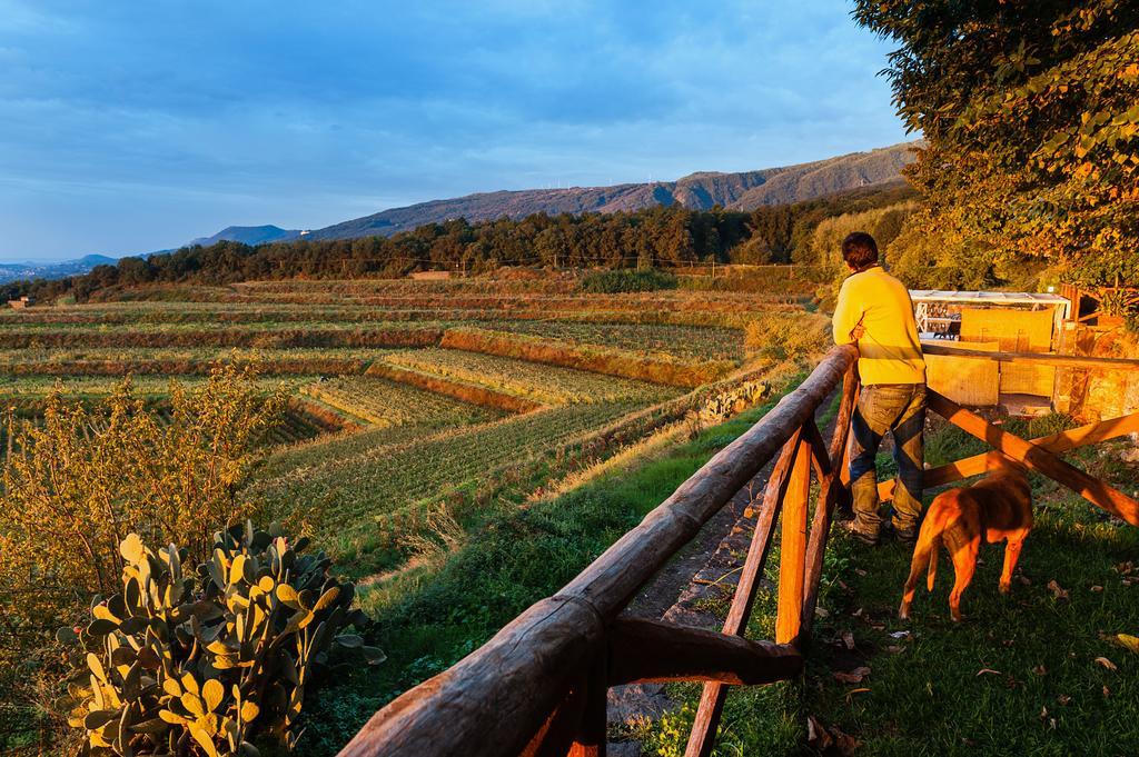 Wine Resort Villagrande มีโล ภายนอก รูปภาพ